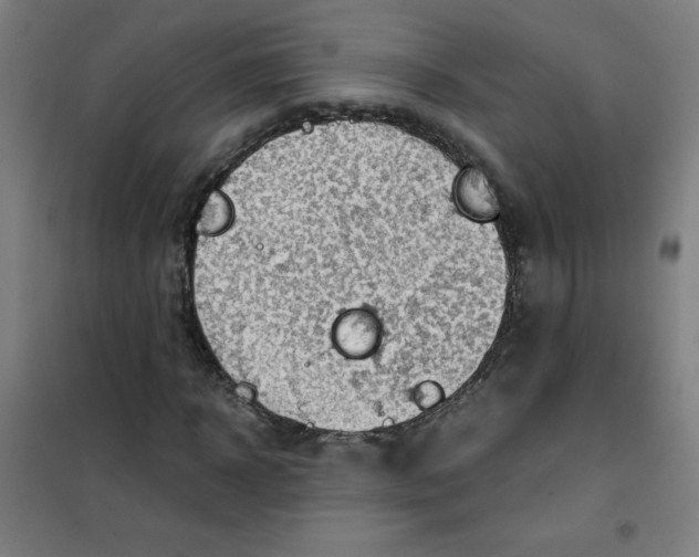 X0000101390918200808041013