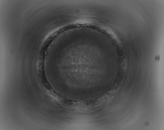 X0000101390920200808041013