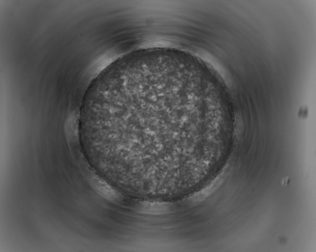 X0000101390921200808041013
