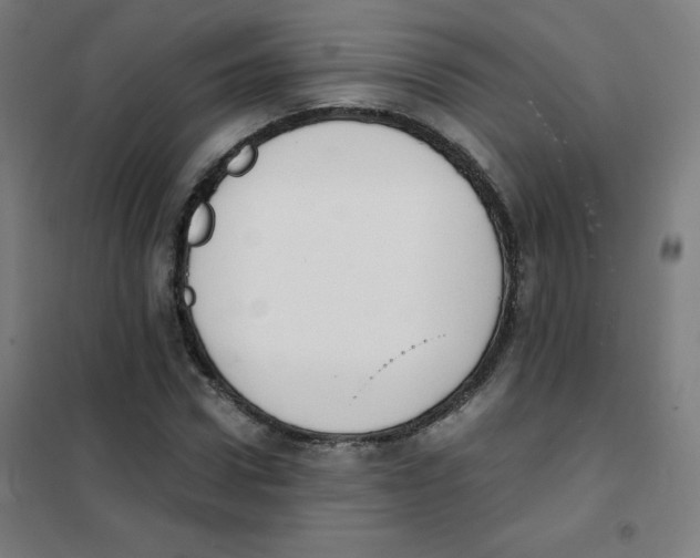 X0000101390922200808041013