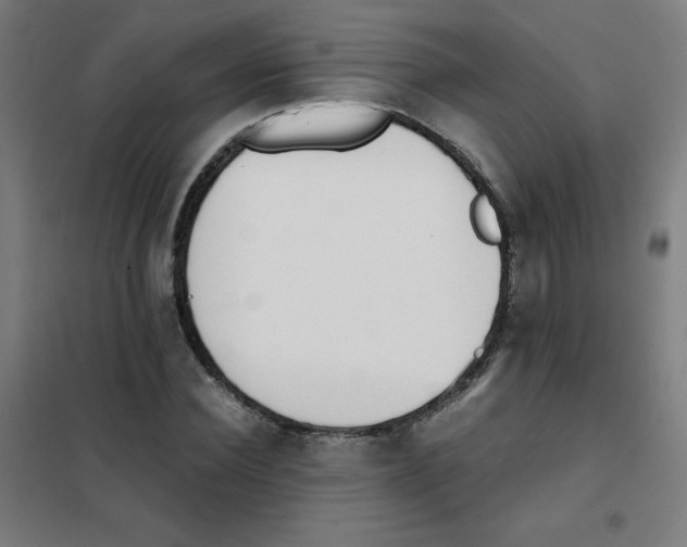 X0000101390924200808041013