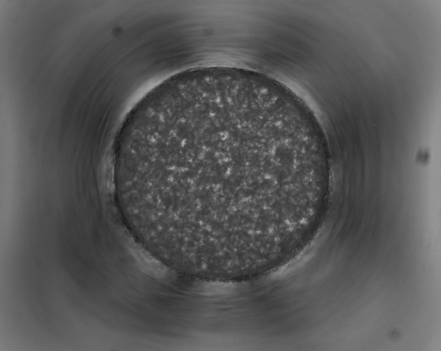 X0000101390925200808041013