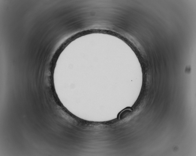 X0000101390926200808041013