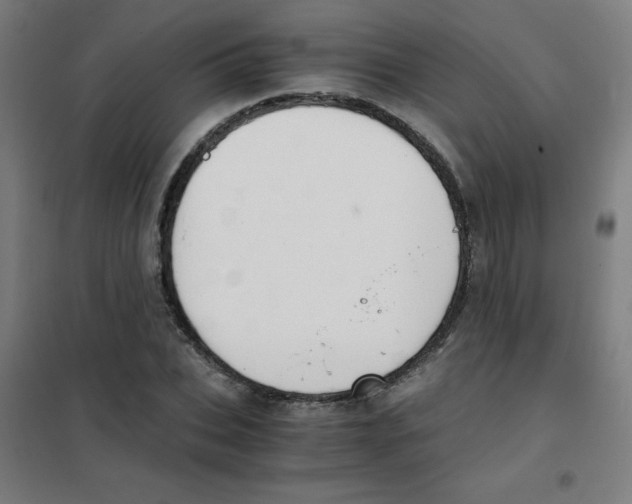 X0000101390927200808041013
