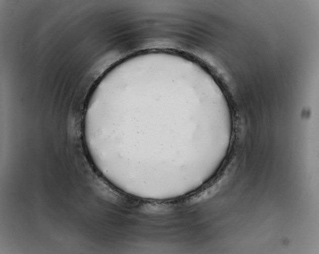 X0000101390929200808041013
