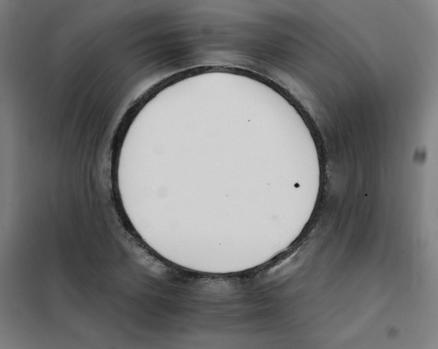 X0000101390931200808041013
