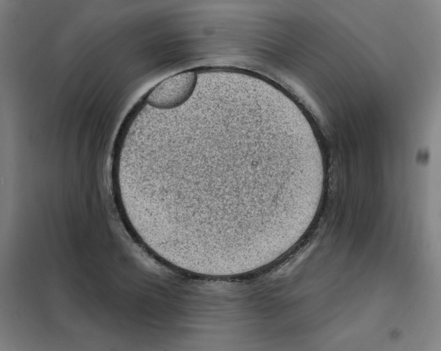 X0000101390932200808041013