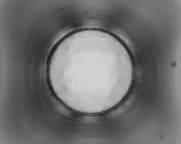 X0000101390933200808041013