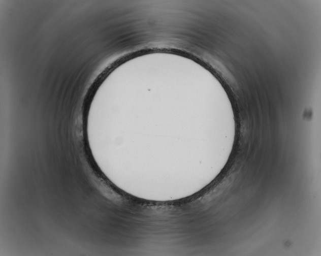 X0000101390934200808041013