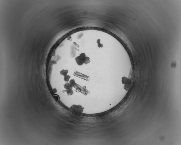 X0000101390935200808041013