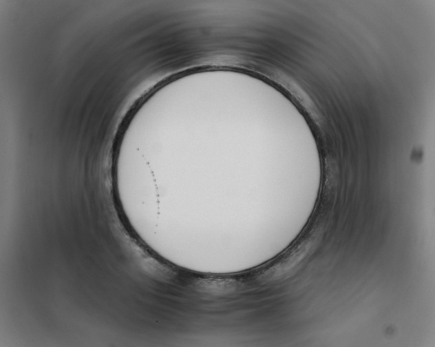X0000101390939200808041013