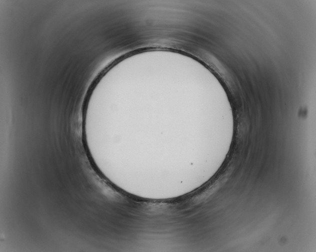 X0000101390940200808041013