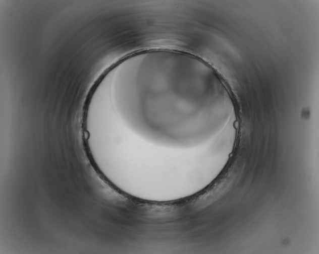 X0000101390941200808041013