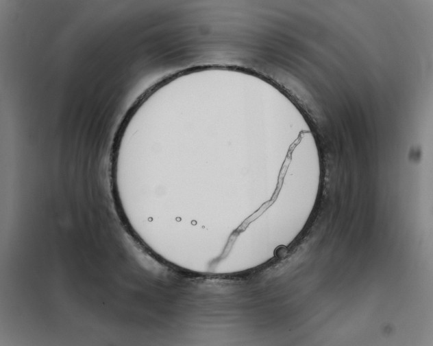 X0000101390942200808041013