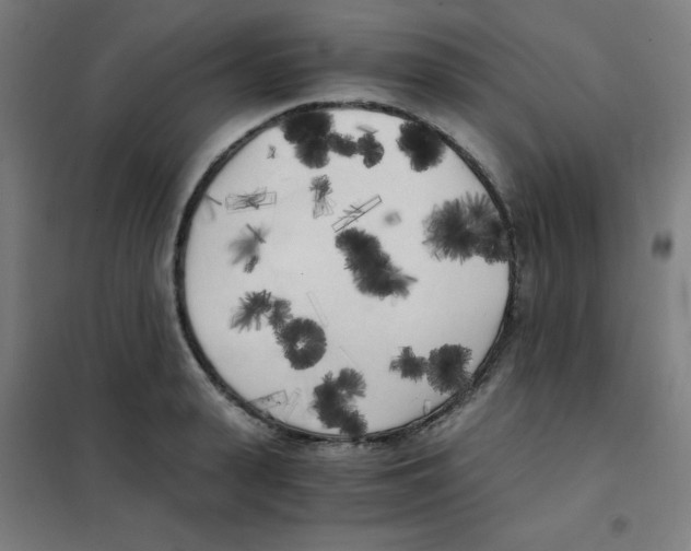 X0000101390943200808041013