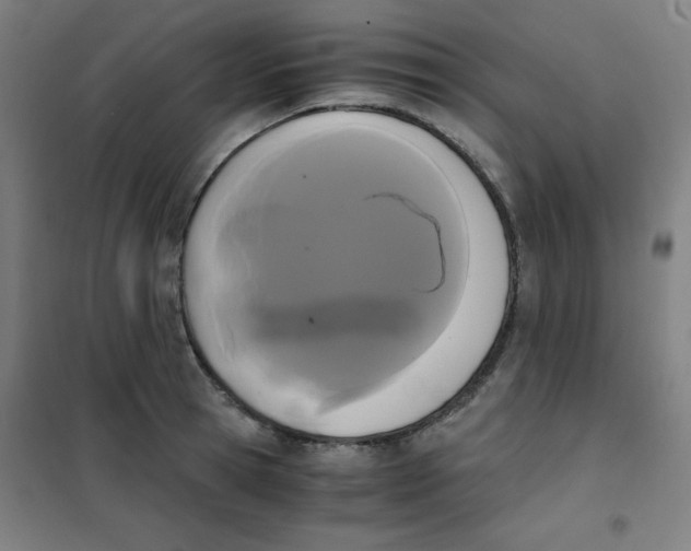 X0000101390945200808041014