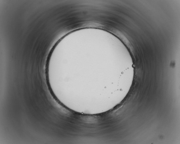 X0000101390947200808041014