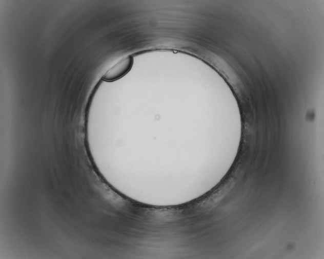 X0000101390948200808041014
