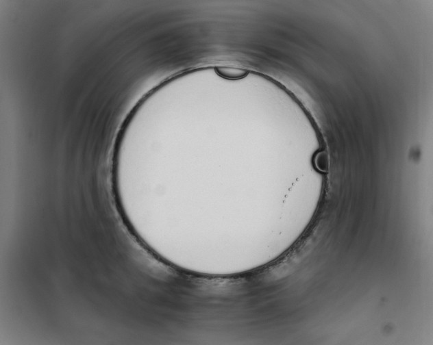 X0000101390949200808041014
