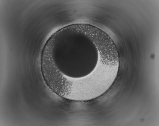X0000101390950200808041014