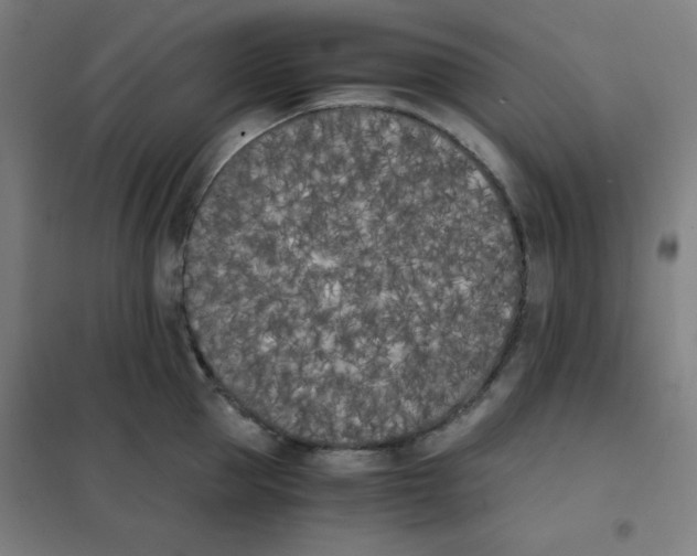X0000101390953200808041014