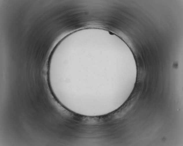 X0000101390955200808041014