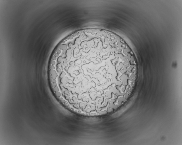 X0000101390957200808041014