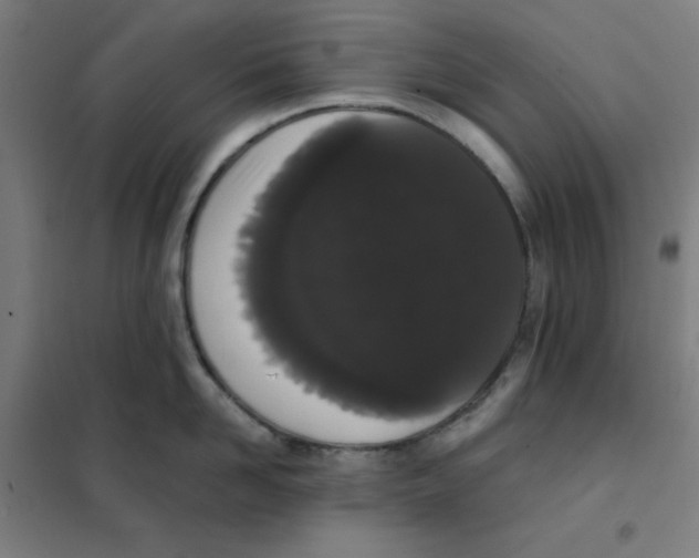 X0000101390958200808041014