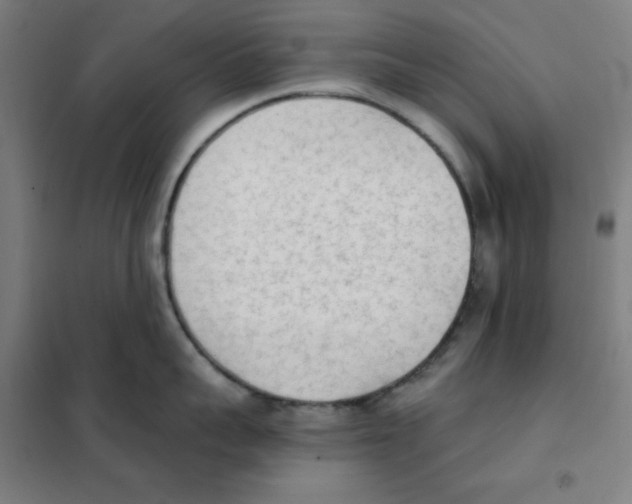 X0000101390959200808041014