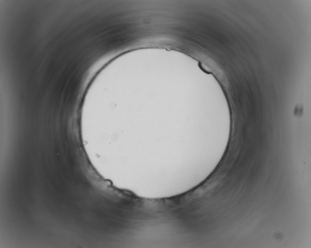 X0000101390960200808041014