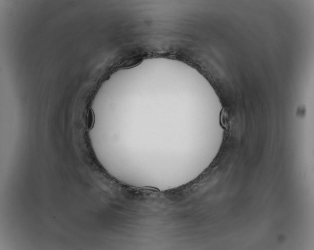 X0000101390961200808041013