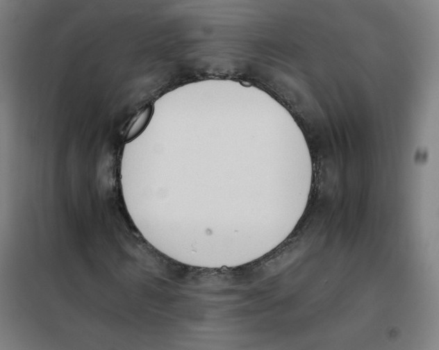 X0000101390962200808041013