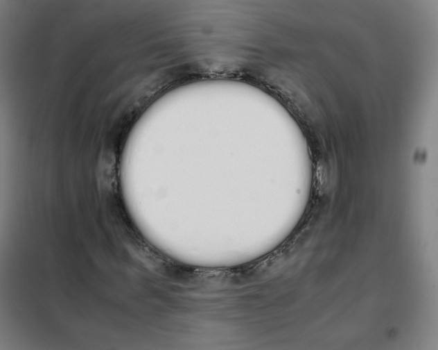X0000101390963200808041013