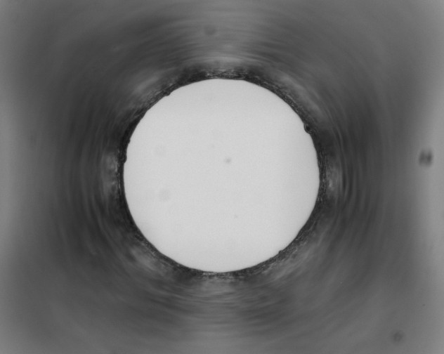 X0000101390964200808041013