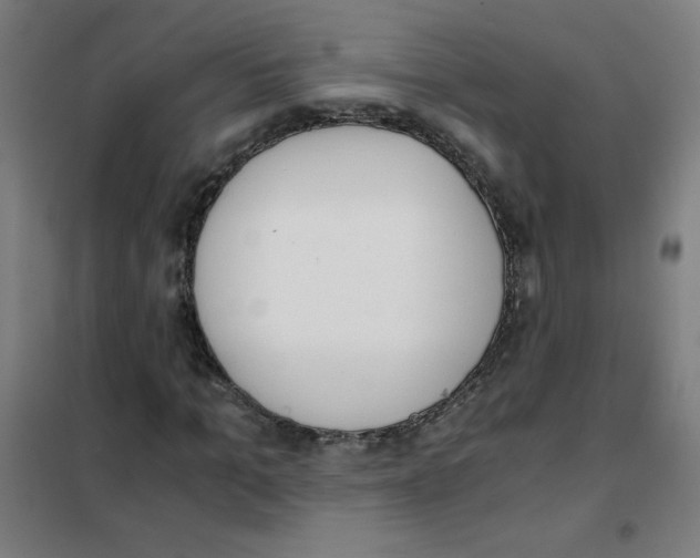 X0000101390965200808041013