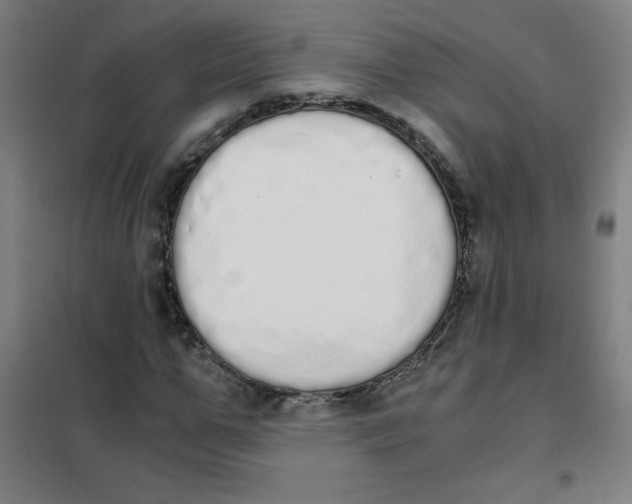 X0000101390967200808041013