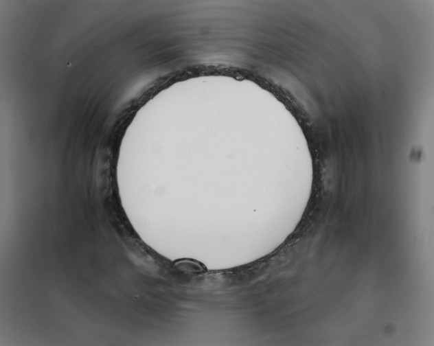 X0000101390968200808041013