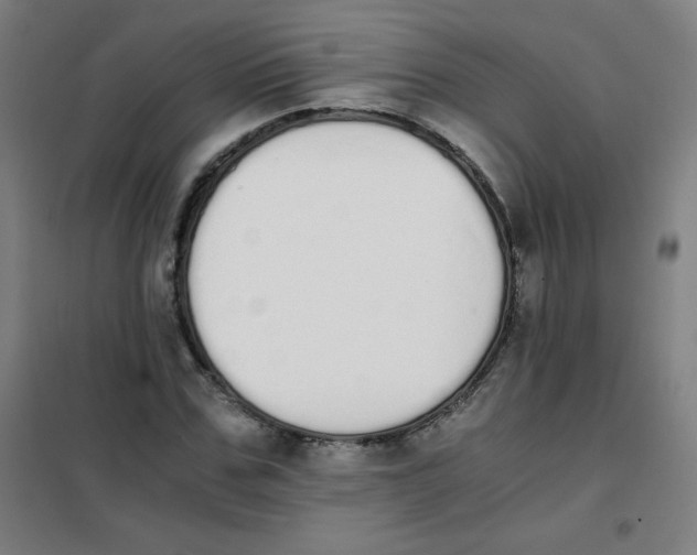 X0000101390971200808041013