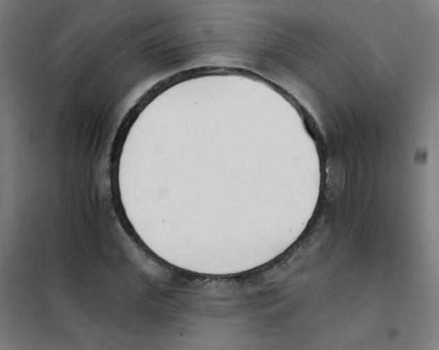 X0000101390972200808041013