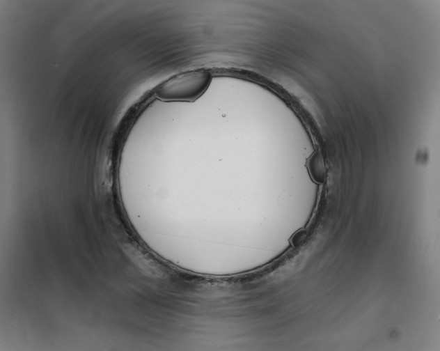 X0000101390973200808041013