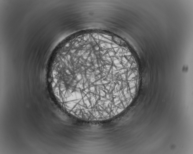 X0000101390975200808041013