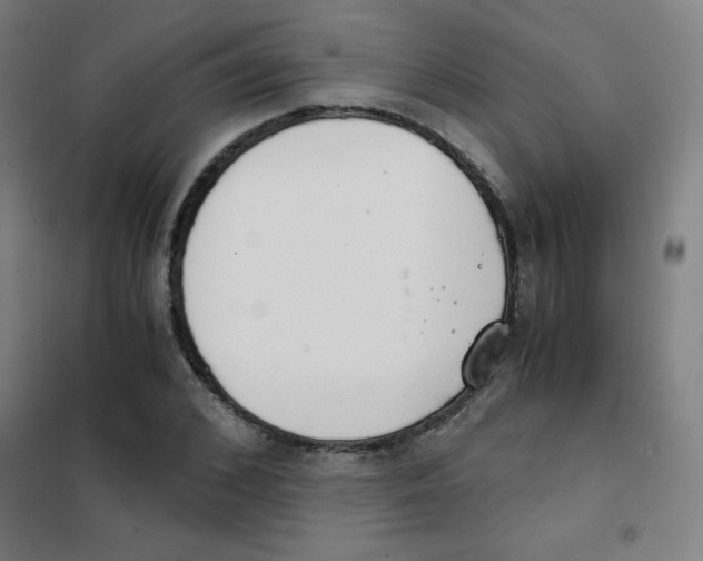 X0000101390976200808041013