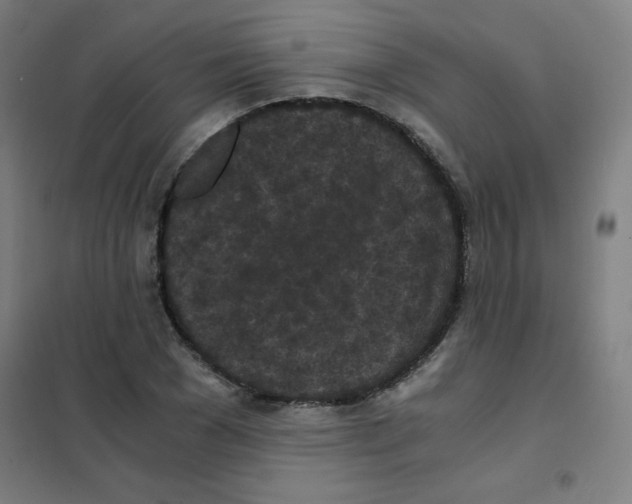 X0000101390977200808041013