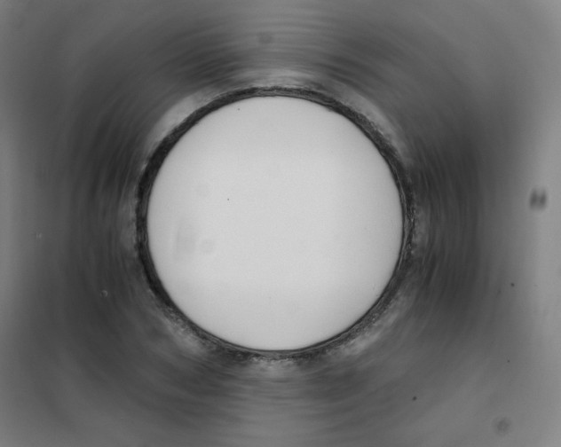 X0000101390978200808041013
