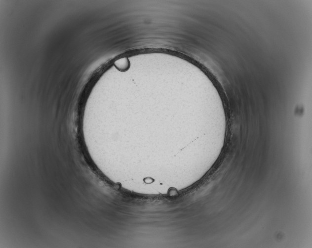 X0000101390979200808041013