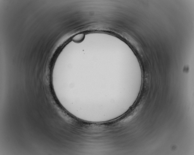 X0000101390981200808041013