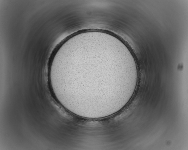X0000101390982200808041013