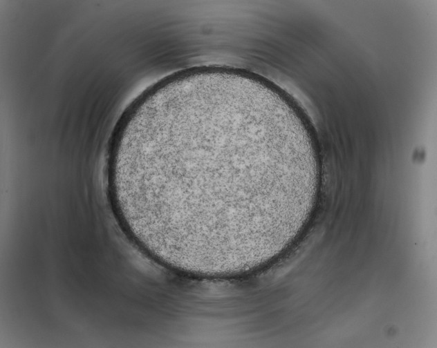 X0000101390983200808041013