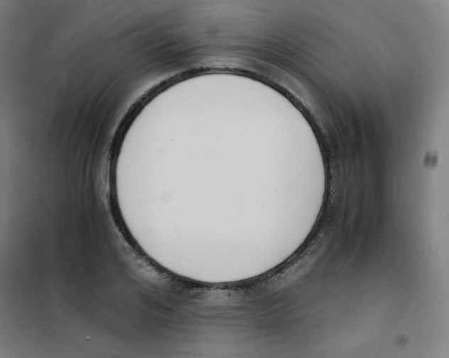 X0000101390984200808041013