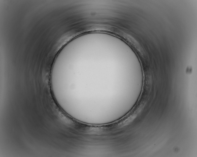 X0000101390985200808041013